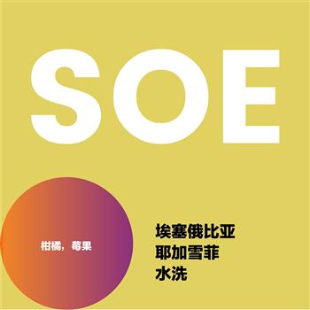 d2D 埃塞俄比亞SOE單一產(chǎn)區(qū)新鮮烘焙精品意式咖啡豆500g