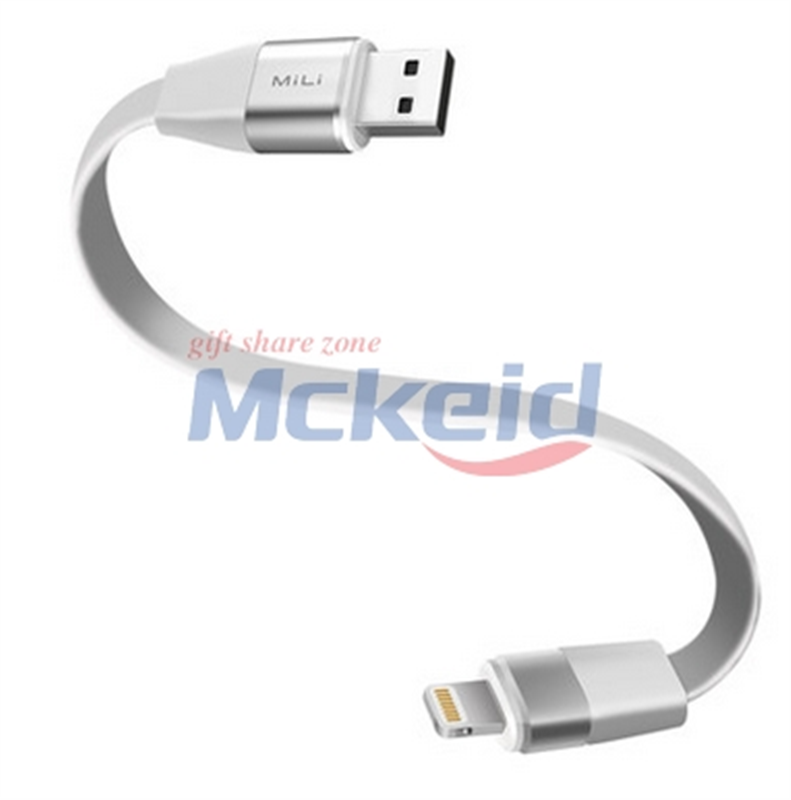 蘋果智能閃存百變線