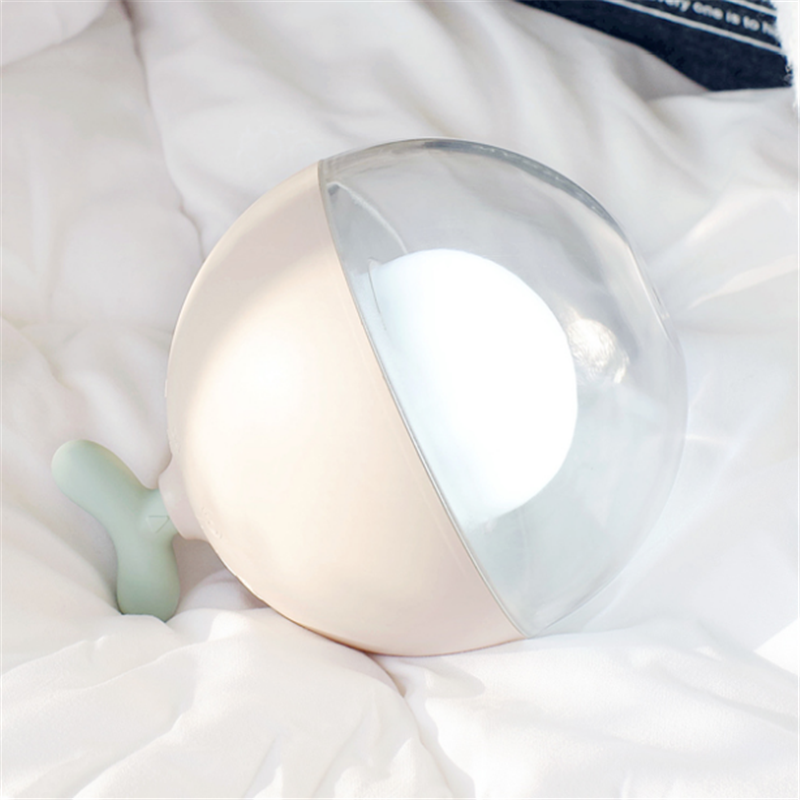 花芽定時(shí)燈