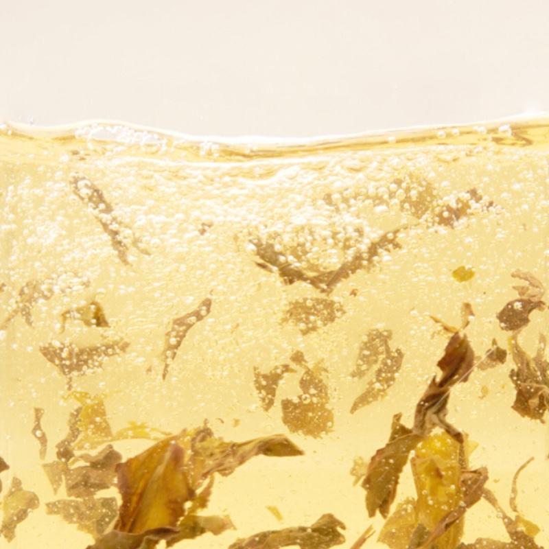 清樸堂-雅師集 大師茶敘單茶版 商務(wù)茶禮 定制禮品