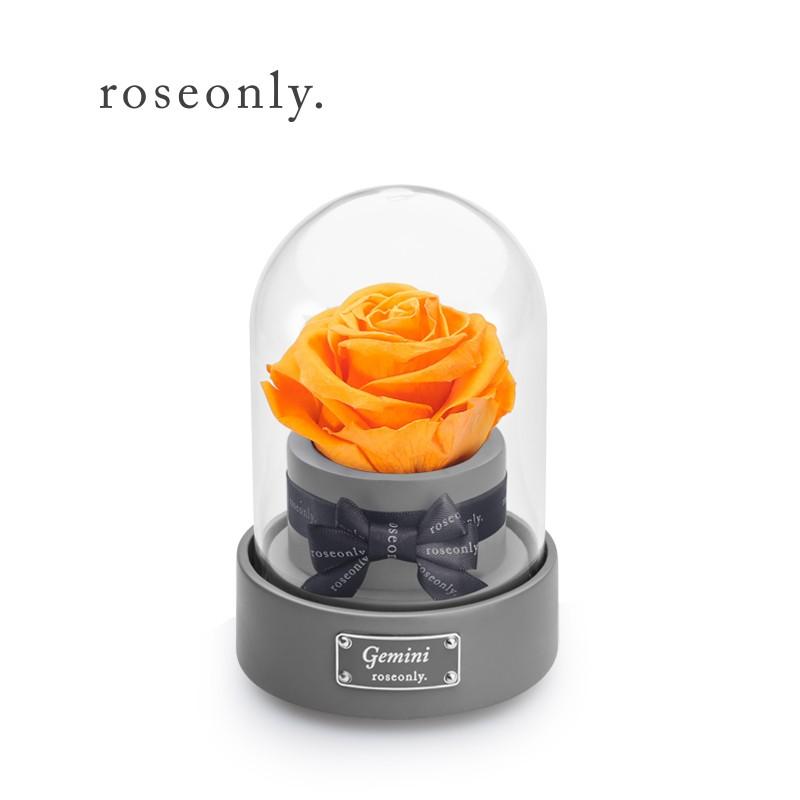 永生玫瑰星座音樂球