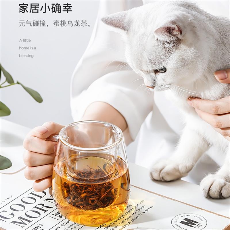 物生物過濾玻璃杯家用茶水分離泡茶杯女透明帶把花茶夏季水杯子