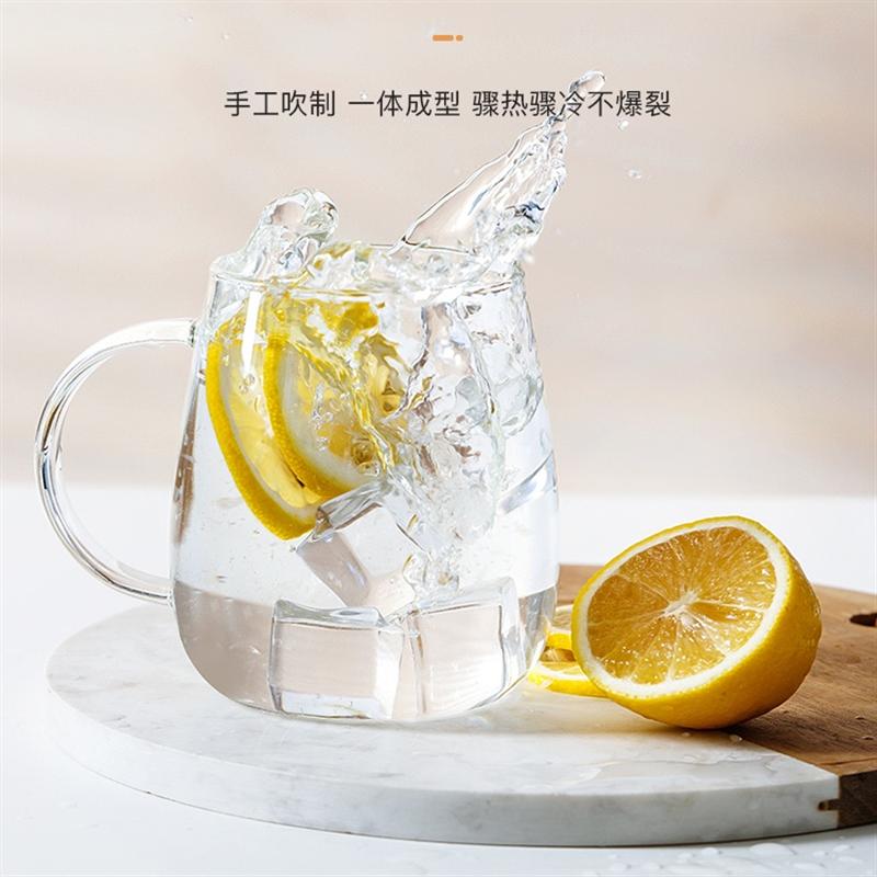 物生物過濾玻璃杯家用茶水分離泡茶杯女透明帶把花茶夏季水杯子