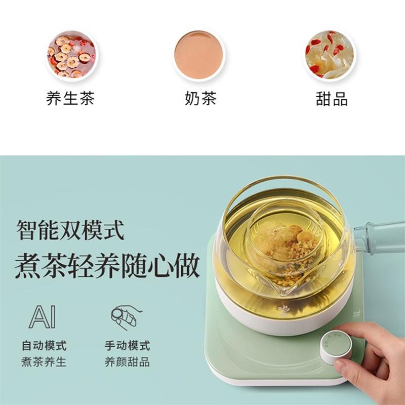鳴盞煮茶器辦公室小型多功能mini迷你型黑茶花茶養(yǎng)生壺家用煮茶壺