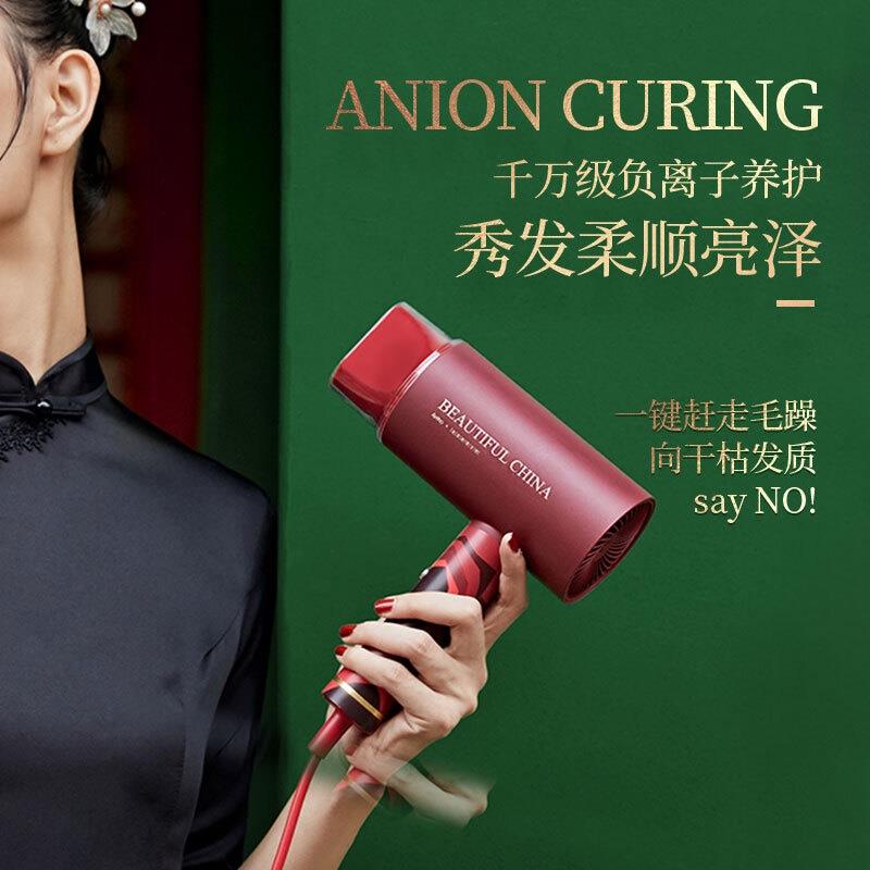 艾優(yōu)（Apiyoo）電吹風(fēng)家用吹風(fēng)機(jī)負(fù)離子大功率速干冷熱風(fēng)恒溫護(hù)發(fā)吹風(fēng)筒故宮聯(lián)名禮盒款