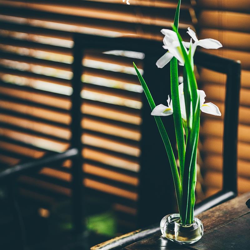 學(xué)古|花小錢 中式水晶花器花瓶插花藝純銅劍山禮盒新年婚慶送禮