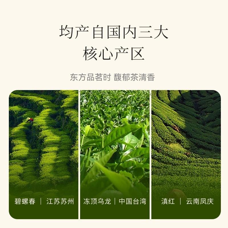 ONCHA 23年新茶三味功夫原葉茶集袋泡茶綠茶紅茶烏龍冷熱茶升級款