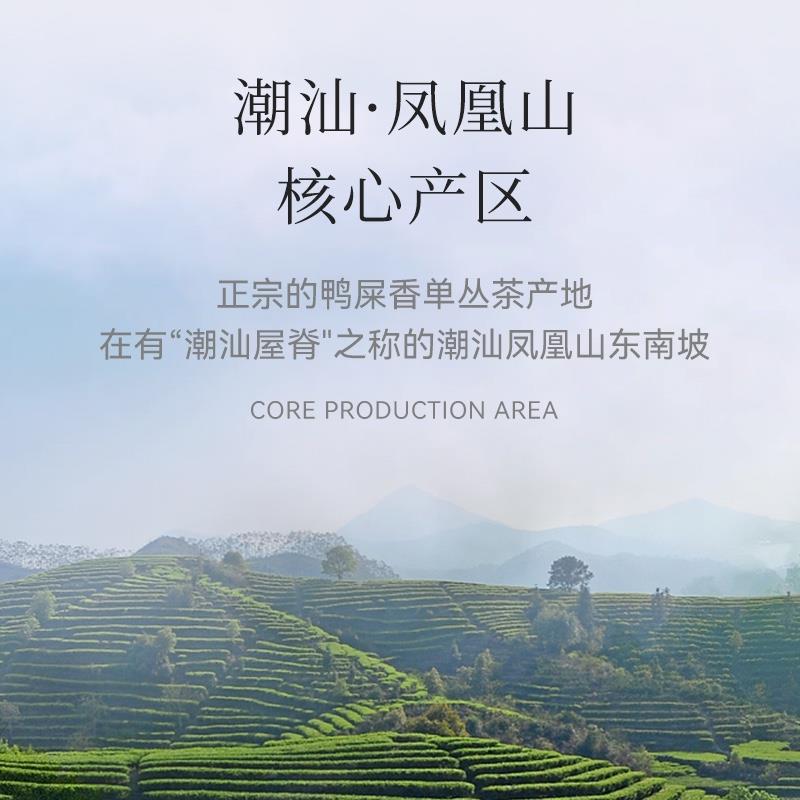 ONCHA開(kāi)始喝茶 23年新茶金獎(jiǎng)鴨屎香烏龍茶鳳凰單從蜜蘭香